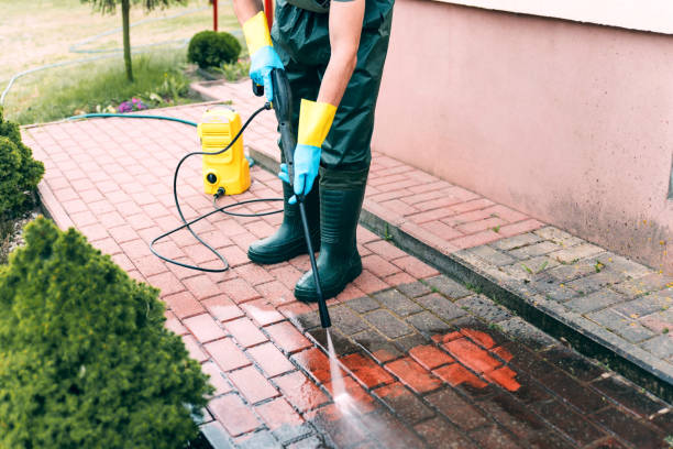 Best Animal Enclosure Cleaning  in Statham, GA